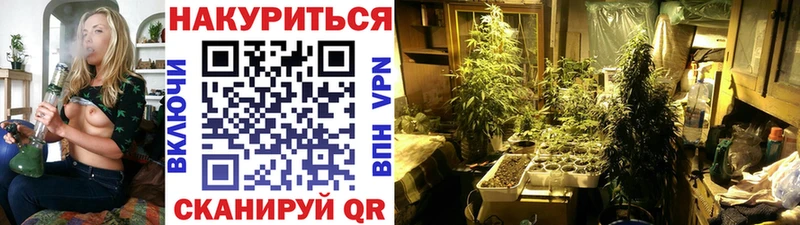 Магазин наркотиков Ржев ГАШИШ СОЛЬ Меф мяу мяу Кетамин Марихуана