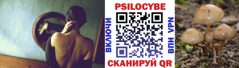 продажа наркотиков  Ржев  Галлюциногенные грибы Psilocybine cubensis 
